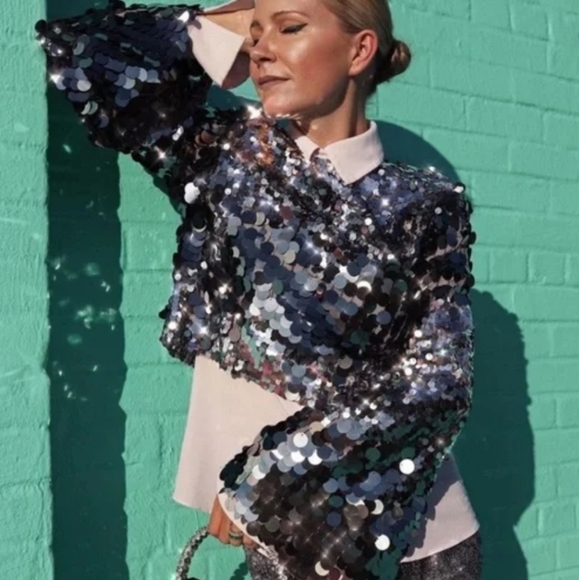 ZARA SEQUIN CROPPED TOP. Bloggers favorite - Picture 13 of 15